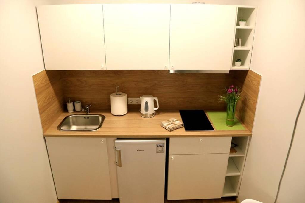Bright Apartment,For 1-4,Near Old Town Vilnius Exteriér fotografie